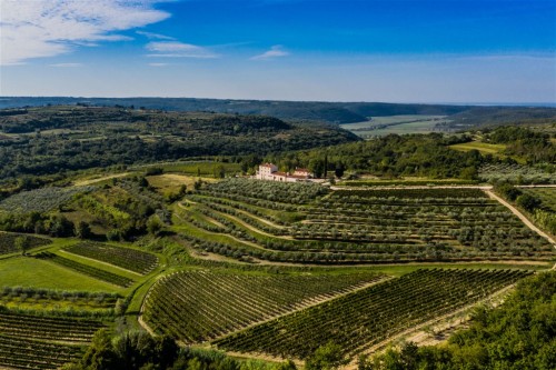 Baracija Estate 45